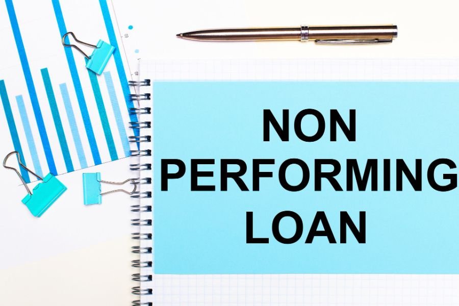 What Is a Non-Performing Asset and Why Does It Matter?