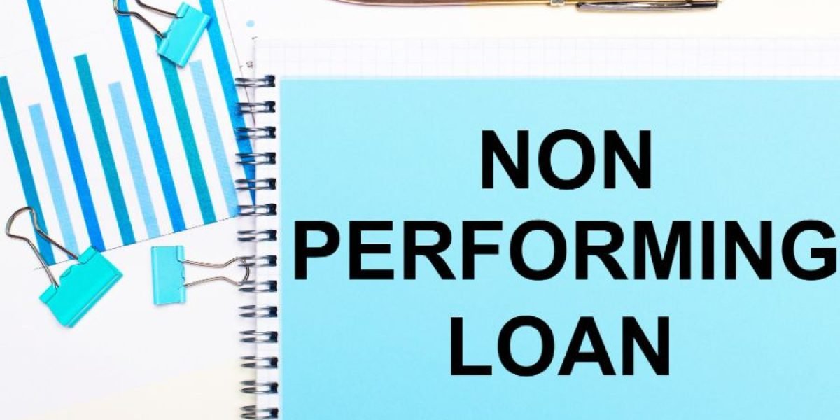 What Is a Non-Performing Asset and Why Does It Matter?